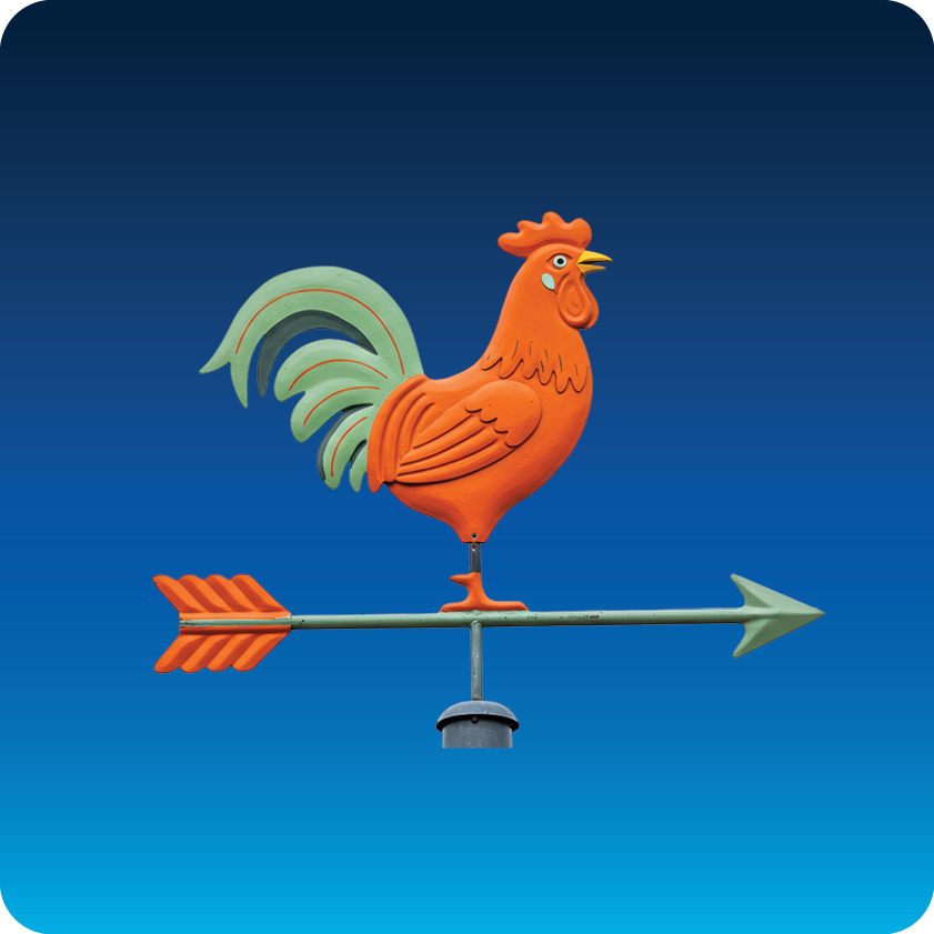 Rooster Weather Vane 
